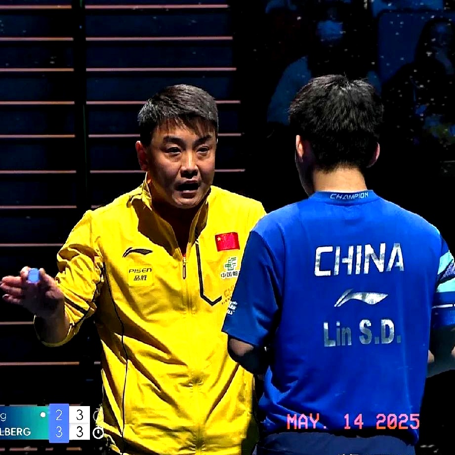 法国乒乓球队翻盘比利时乒乓球队，王皓送出助攻的简单介绍